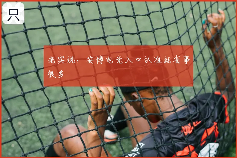 老实说，安博电竞入口认准就省事很多